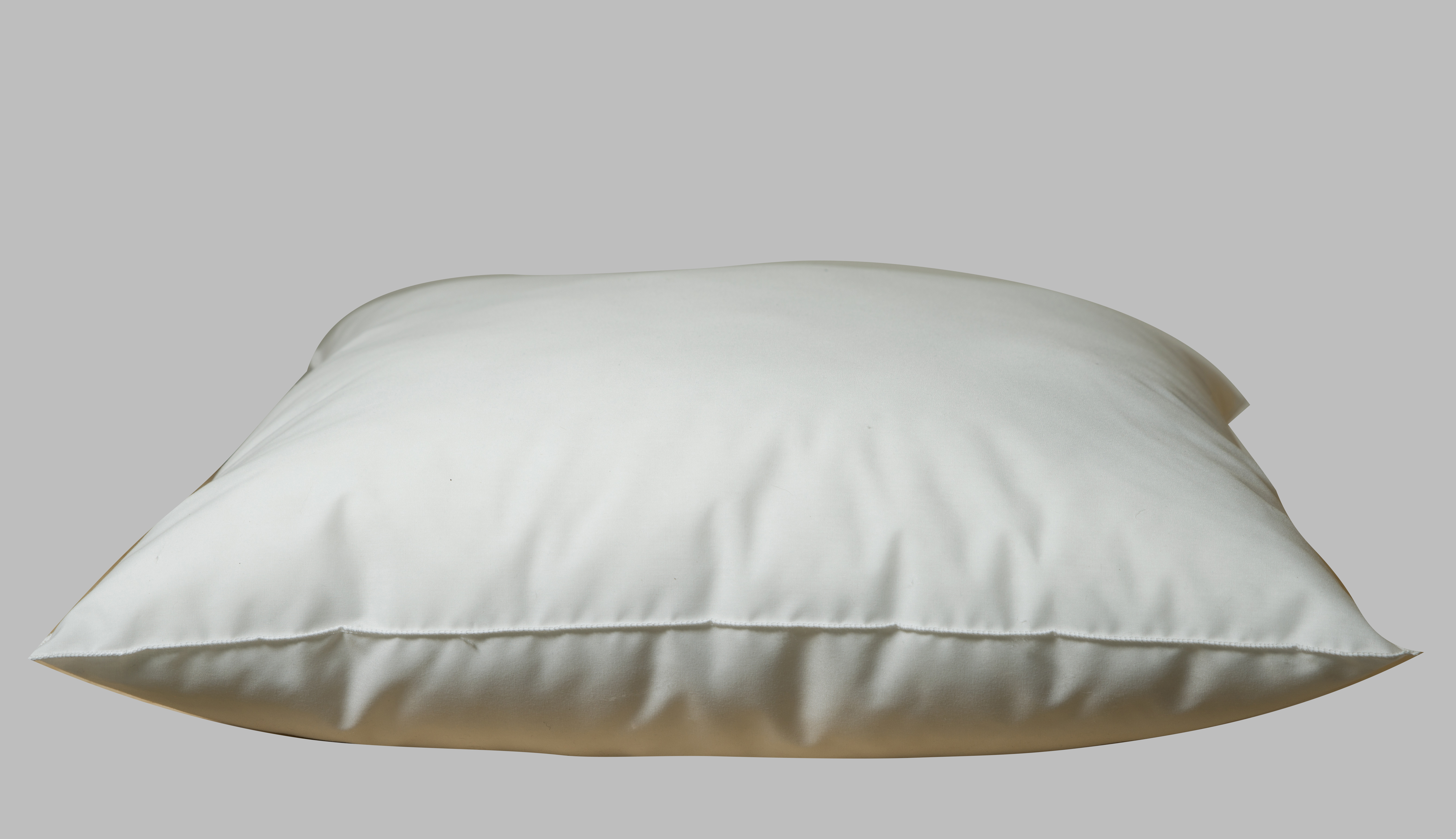 Large Square Down Pillow Insert, 25 x 25